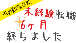 【6ヶ月経過】Big4監査法人、1年目へのアドバイス【未経験転職】